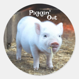 Piggin' Out Farm Life Classic Round Sticker