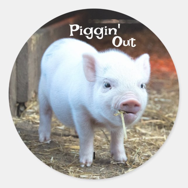 Piggin' Out Farm Life Classic Round Sticker (Front)