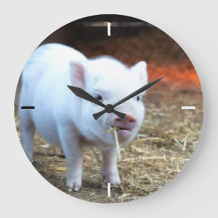 Piggin' Out Farm Life Wall Clock