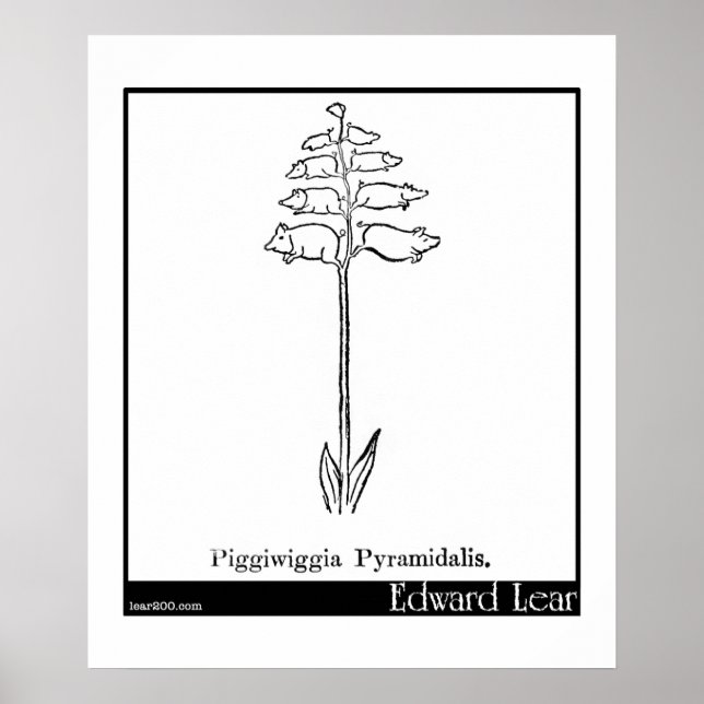 Piggiwiggia Pyramidalis. Poster (Front)