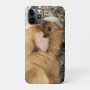 Piggy     iPhone 11 pro case