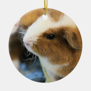 Piggy Ceramic Tree Decoration