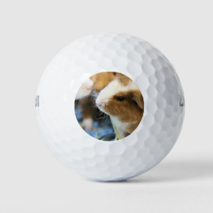 Piggy Golf Balls