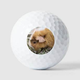 Piggy Golf Balls