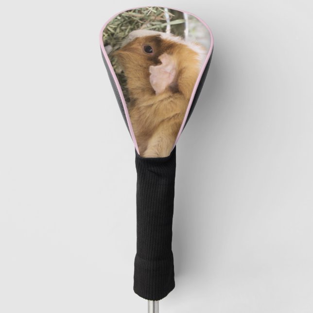 Piggy Golf Head Cover (Front)