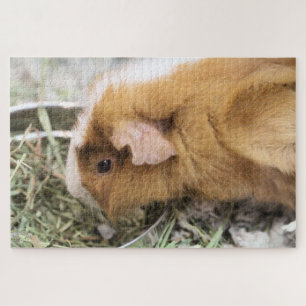 Piggy Jigsaw Puzzle