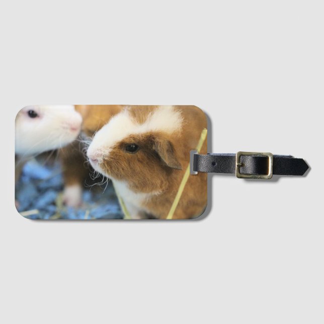 Piggy Luggage Tag (Front Horizontal)