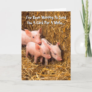 Piggy Pigs Piglet Thinking of You Card