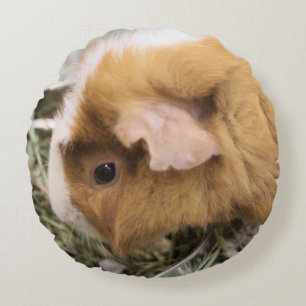 Piggy Round Cushion