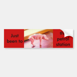 piggybank, Just been to the petrol station. Bumper Sticker