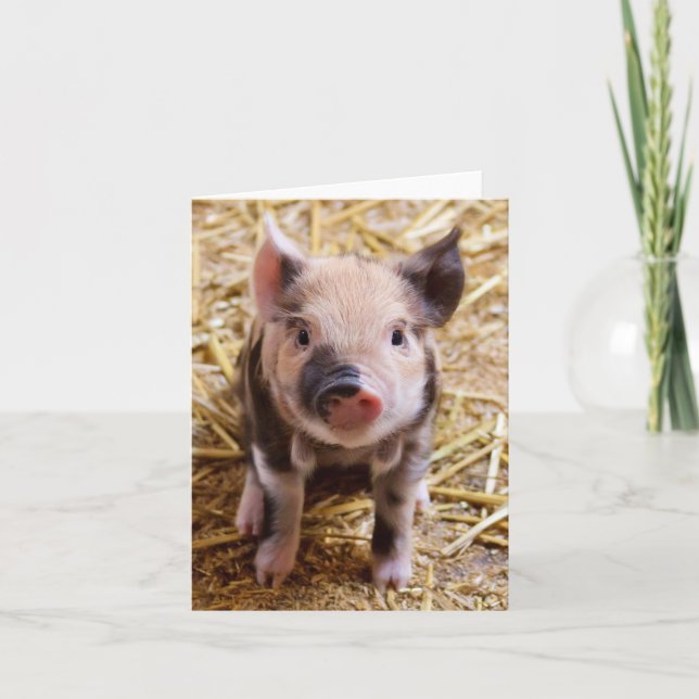 Piglet Card (Front)