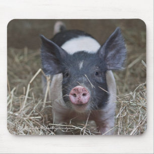 Piglet in Straw Mouse Mat