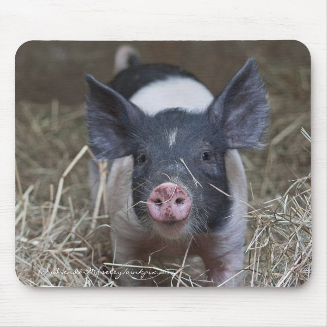 Piglet in Straw Mouse Mat (Front)