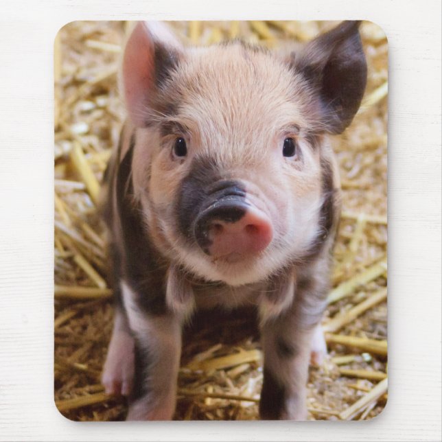 Piglet Mouse Mat (Front)