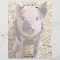 Piglet