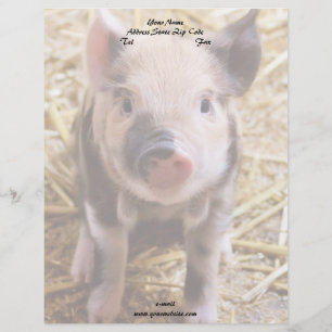 Piglet Personalised Letterhead