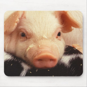 Piglet Pig Adorable Face Snout Mouse Mat
