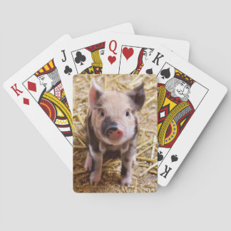 Piglet Playing Cards