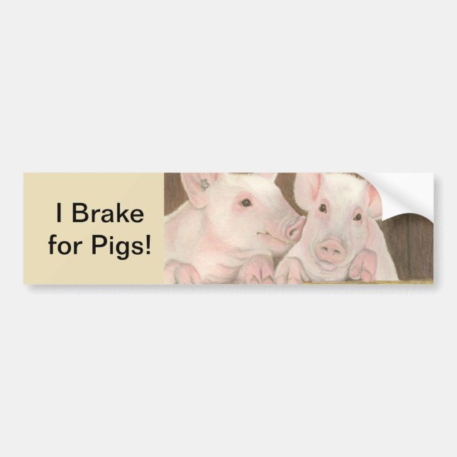 Piglets Bumper Sticker (Front)