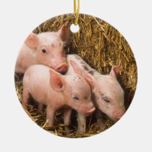 Piglets Ceramic Tree Decoration
