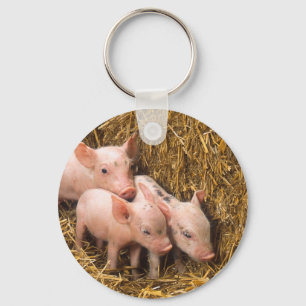 Piglets Key Ring