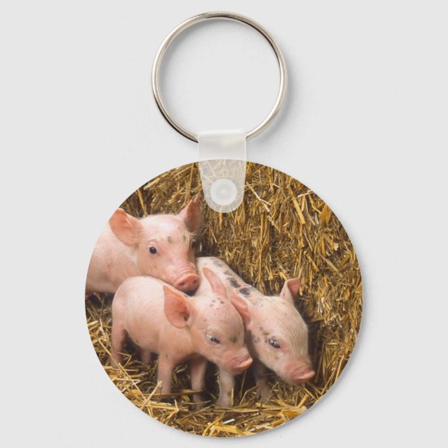 Piglets Key Ring (Front)