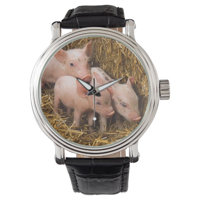 Piglets Watch (Front)