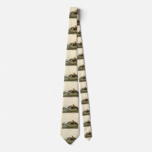 Pigmy Curlew (Sandpiper) Audubon Birds of America Tie