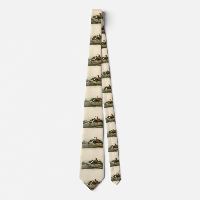 Pigmy Curlew (Sandpiper) Audubon Birds of America  Tie (Front)