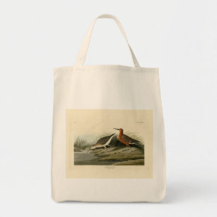 Pigmy Curlew (Sandpiper) Audubon Birds of America Tote Bag