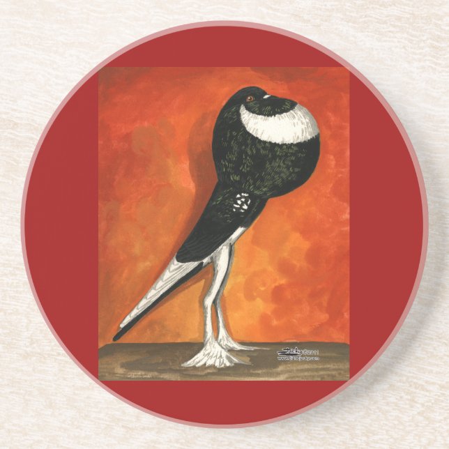 Pigmy Pouter Pigeon Black Pied Coaster (Front)