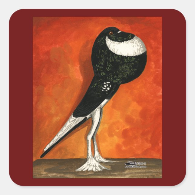 Pigmy Pouter Pigeon Black Pied Square Sticker (Front)