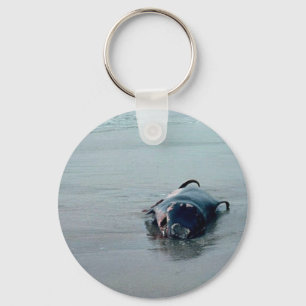 Pigmy Sperm Whale, Beached Key Ring