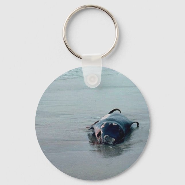 Pigmy Sperm Whale, Beached Key Ring (Front)