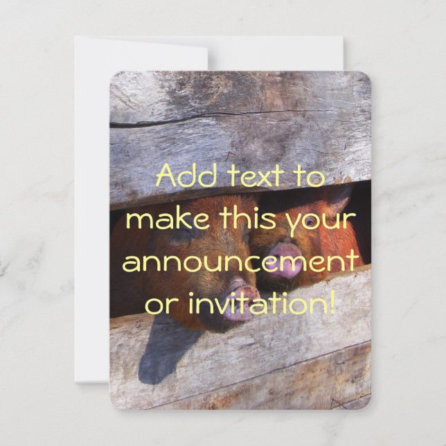 PigPen Pair Peeking Piggies Invitation (Front)