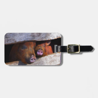 PigPen Pair Peeking Piggies Luggage Tag
