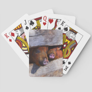 PigPen Pair Peeking Piggies Playing Cards