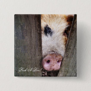 PIGS 15 CM SQUARE BADGE