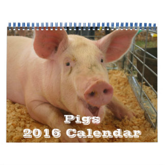 Pigs 2016 Calendar