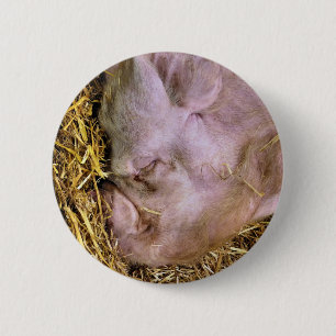 PIGS 6 CM ROUND BADGE