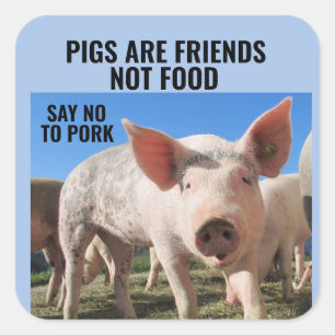 PIGS ARE FRIENDS NOT FOOD - VEGAN STICKERS
