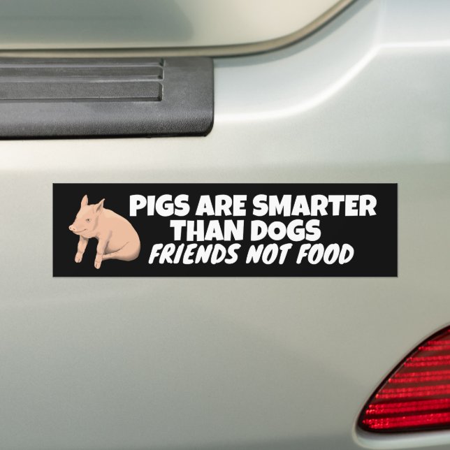 PIGS ARE SMARTER THAN DOGS, FRIENDS NOT FOOD  BUMPER STICKER (On Car)