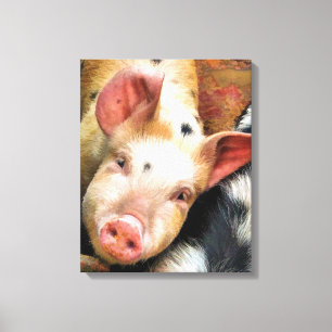 PIGS CANVAS PRINT