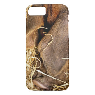 PIGS iPhone 8/7 CASE