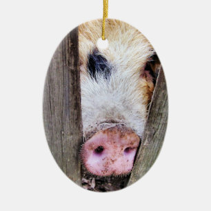 PIGS CERAMIC TREE DECORATION