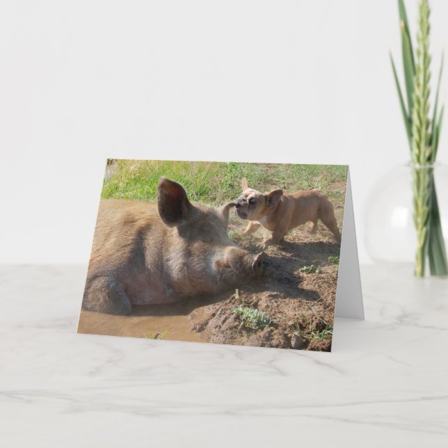 Pigs ear greeting card (Front)