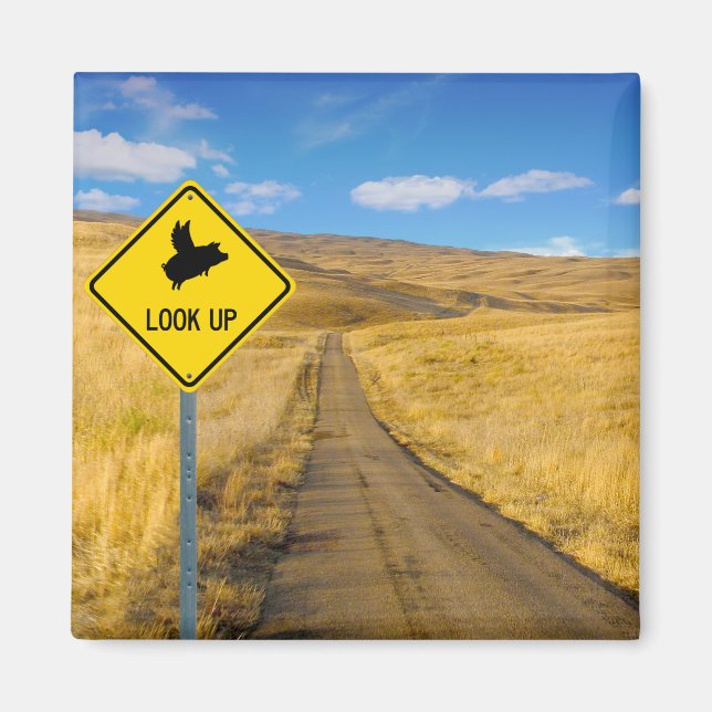 Pigs Flying Above Sign Magnet (Front)