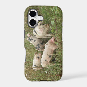 Pigs in a Field iPhone 5 Case