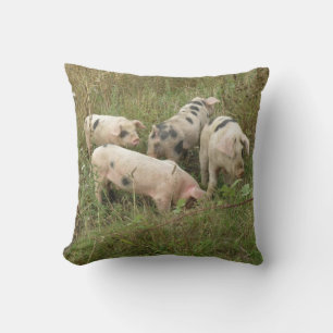 Pigs in a Field Pillow