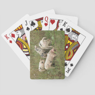 Pigs in a Field Playing Cards